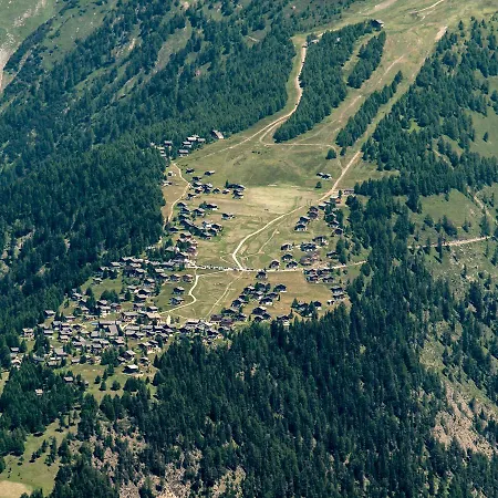 Chalé Bergfink