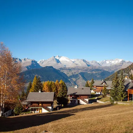 Bergfink شاليه *