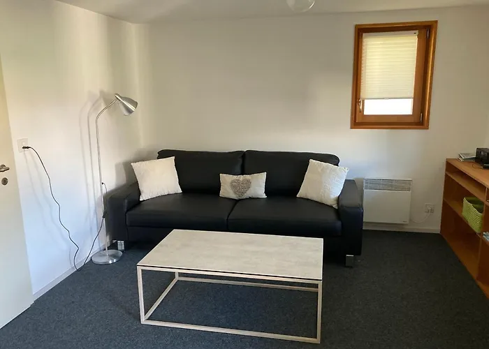 Bergfink Dağ evi Rosswald