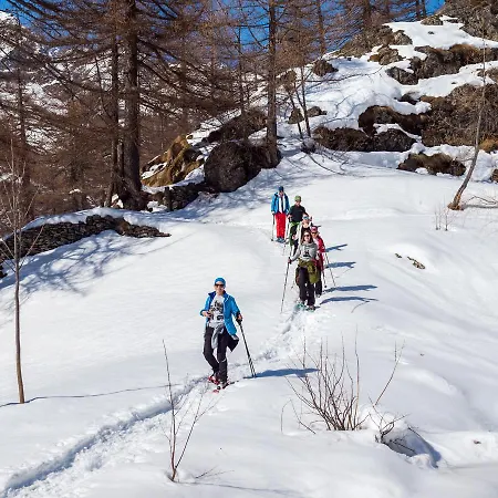 Bergfink Alpesi faház