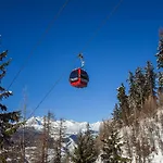 Bergfink * Rosswald