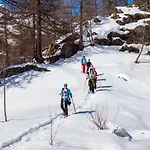 Bergfink Horská chata